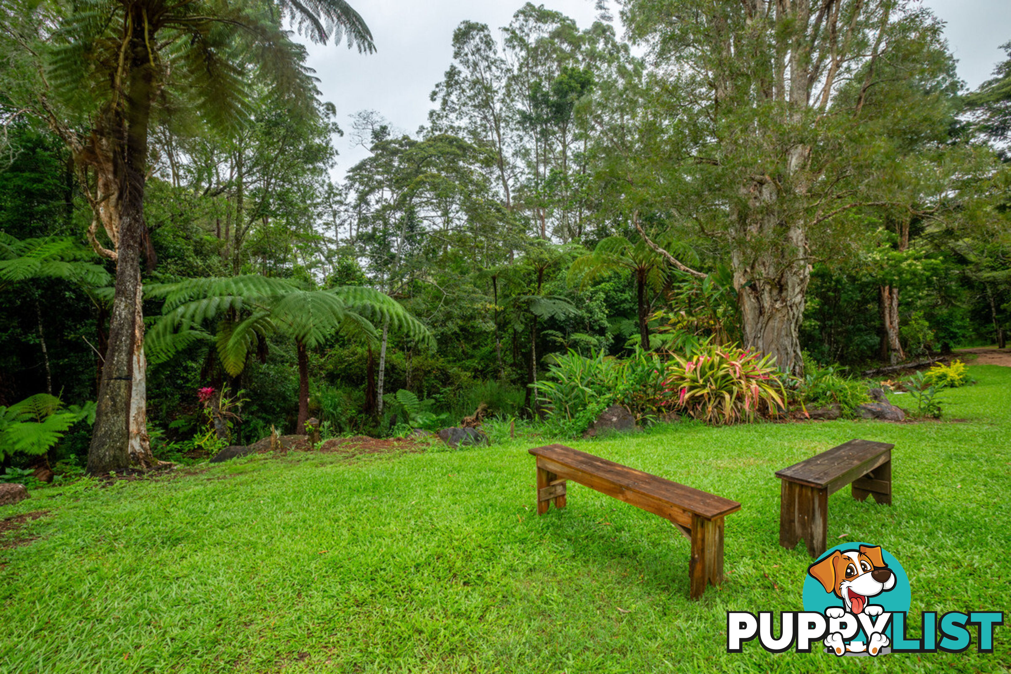 111 Martin Road EVELYN QLD 4888