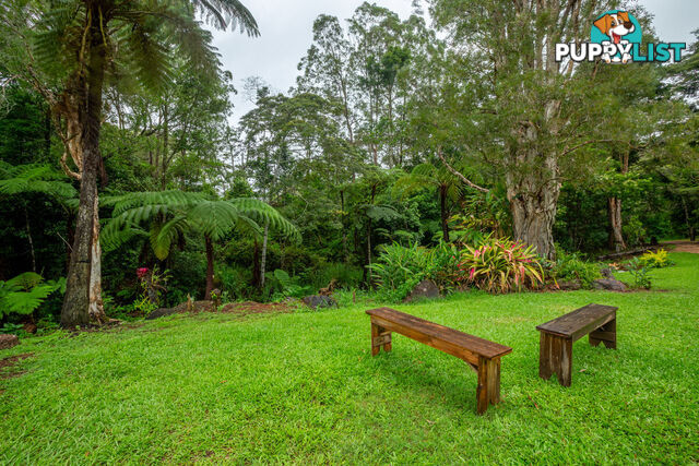 111 Martin Road EVELYN QLD 4888