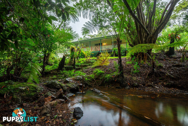 111 Martin Road EVELYN QLD 4888