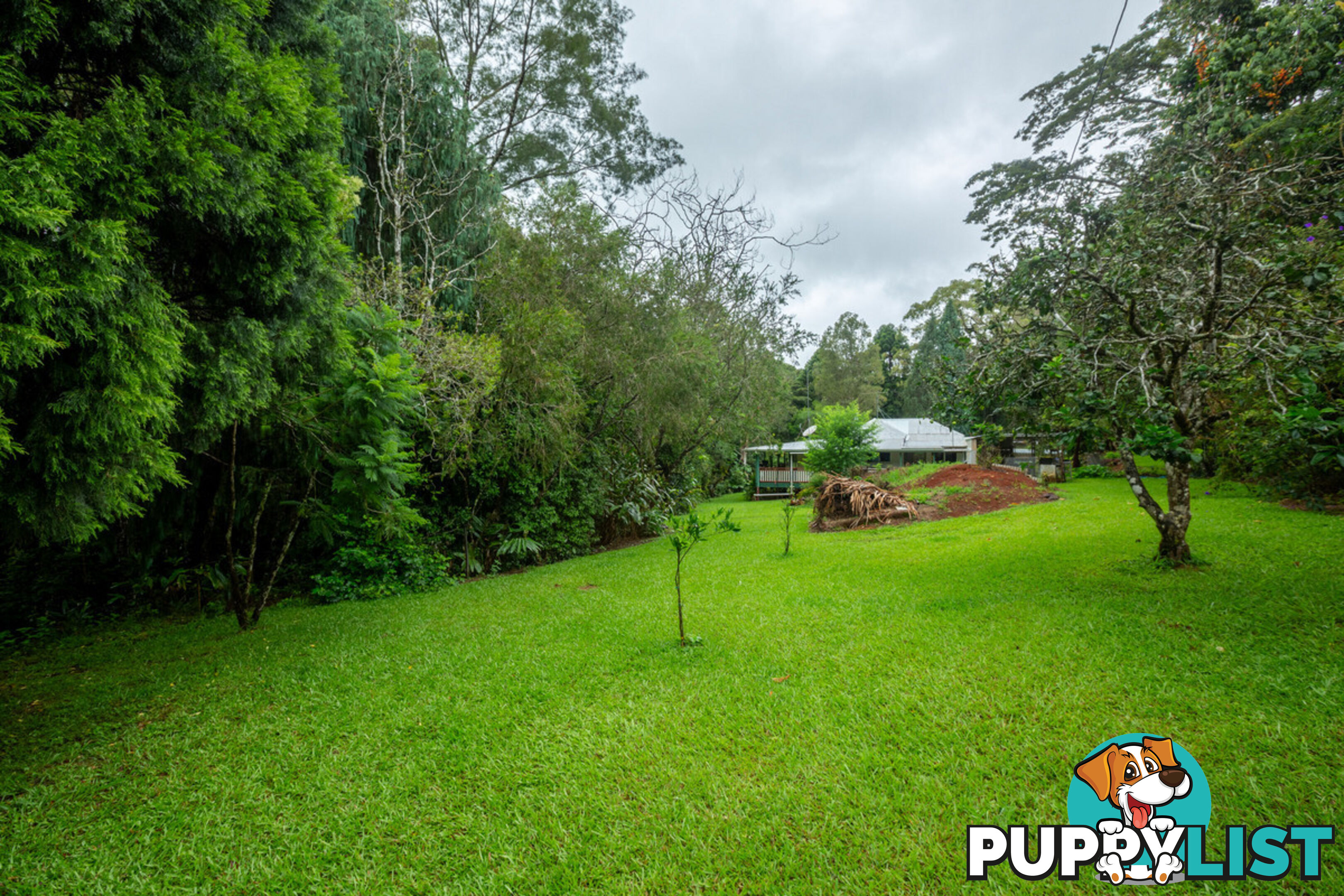 111 Martin Road EVELYN QLD 4888