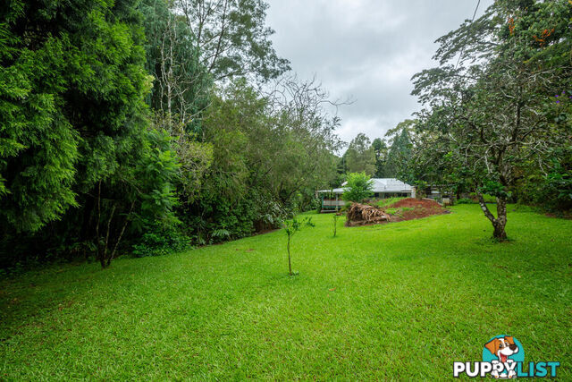 111 Martin Road EVELYN QLD 4888