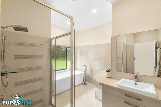 157 Chester Road WONDECLA QLD 4887