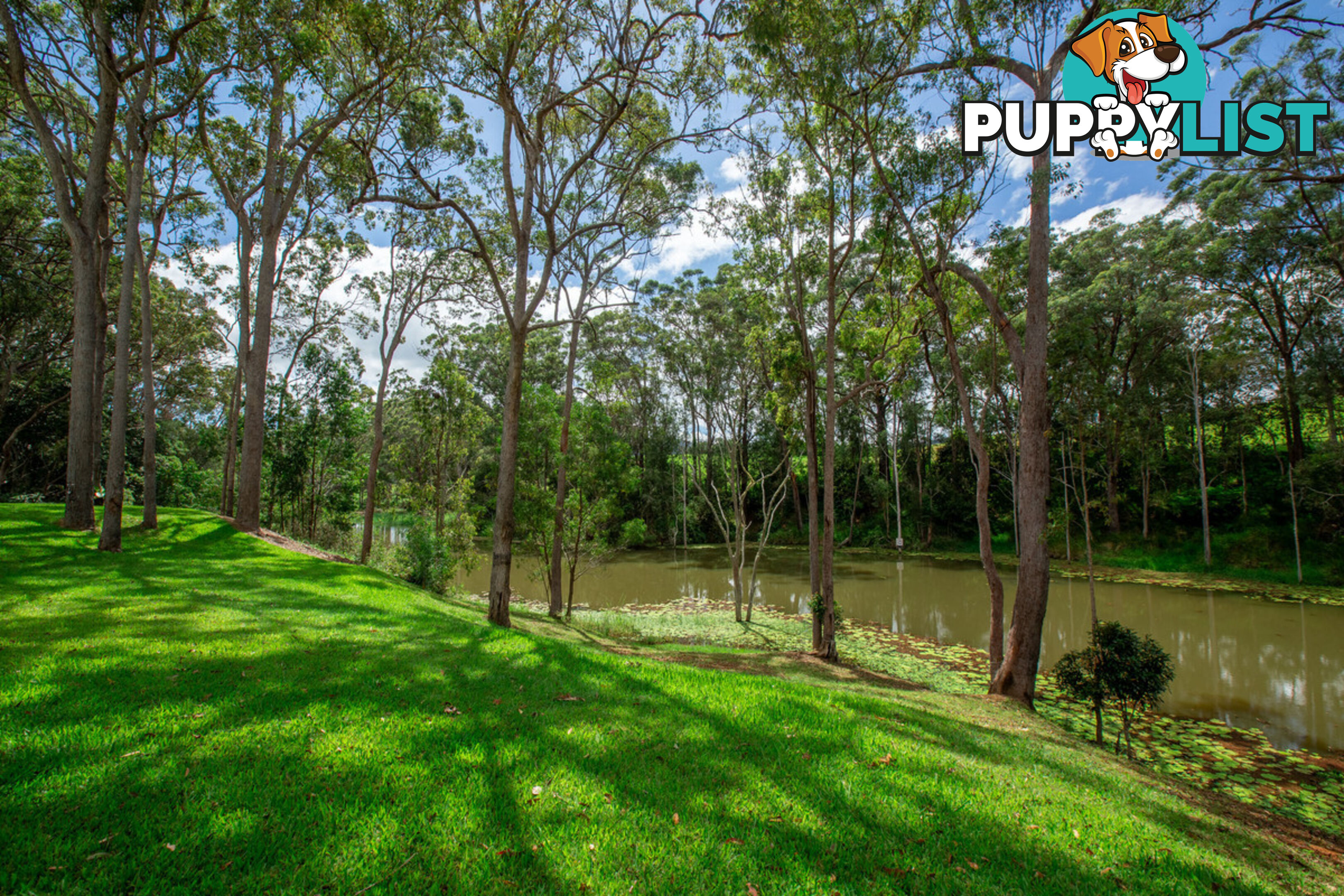 157 Chester Road WONDECLA QLD 4887