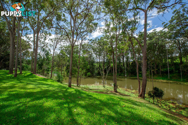 157 Chester Road WONDECLA QLD 4887