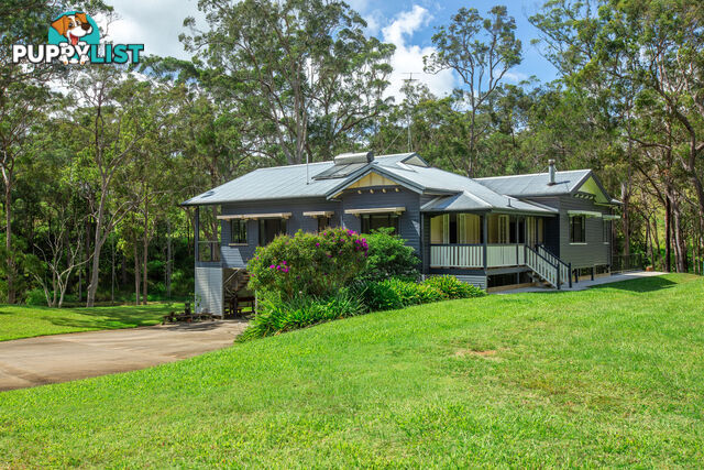 157 Chester Road WONDECLA QLD 4887