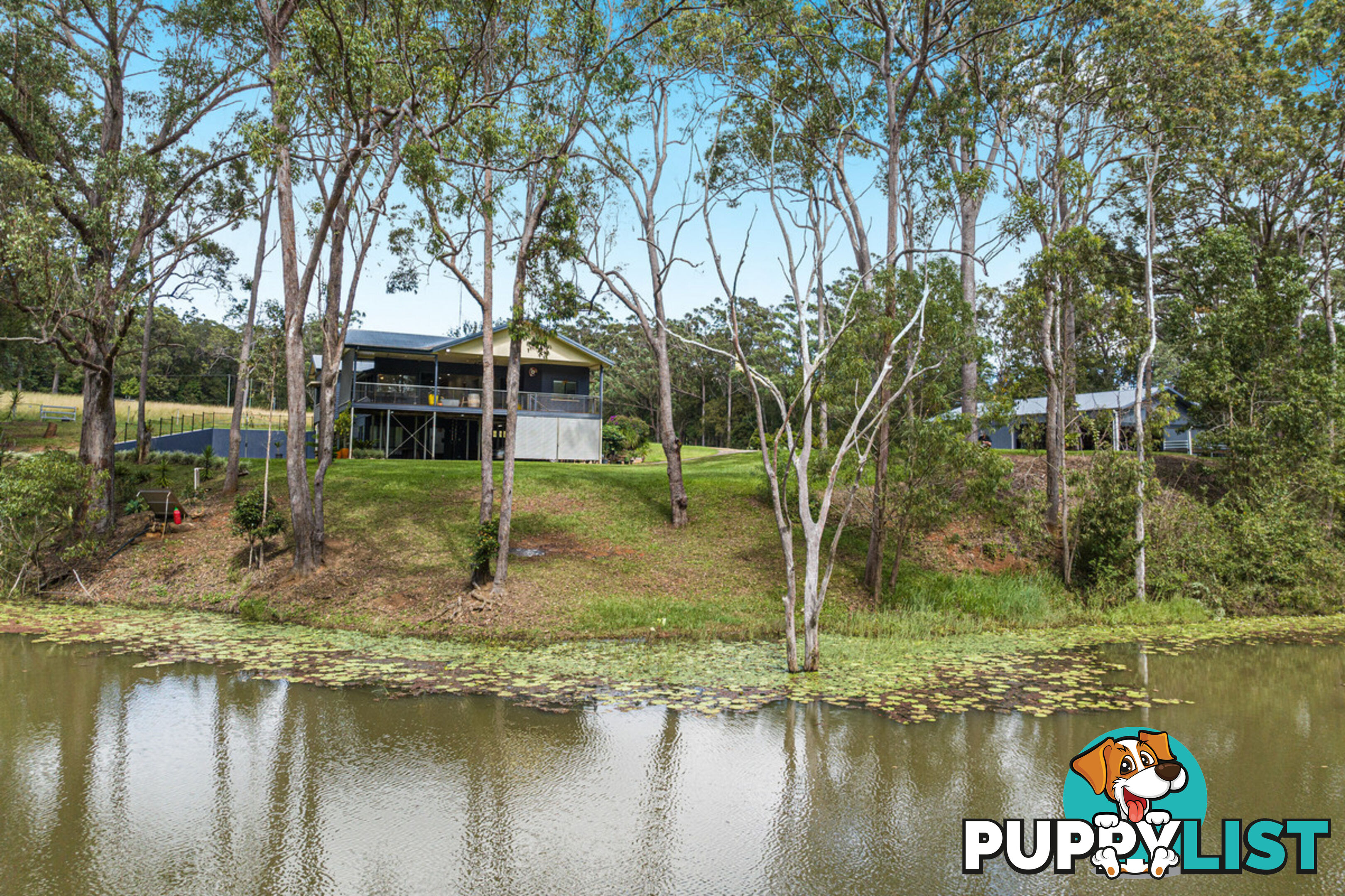 157 Chester Road WONDECLA QLD 4887