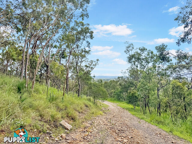 Lot 99/ Anderson Road TOLGA QLD 4882