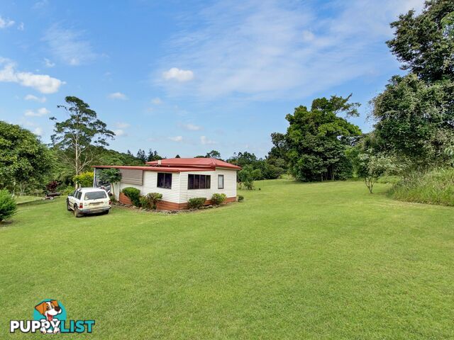 77 Clarkes Track JAGGAN QLD 4885