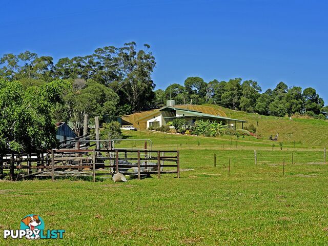 YUNGABURRA QLD 4884