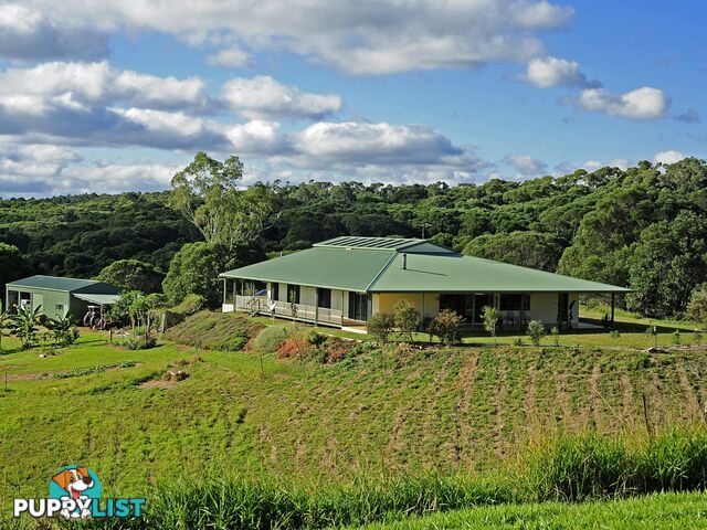 YUNGABURRA QLD 4884