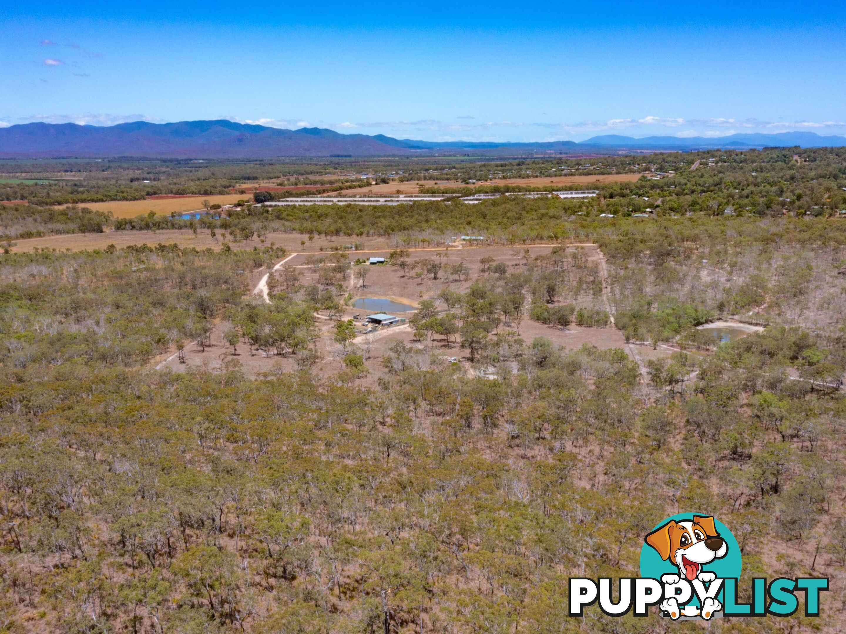 52 Anderson Rd TOLGA QLD 4882