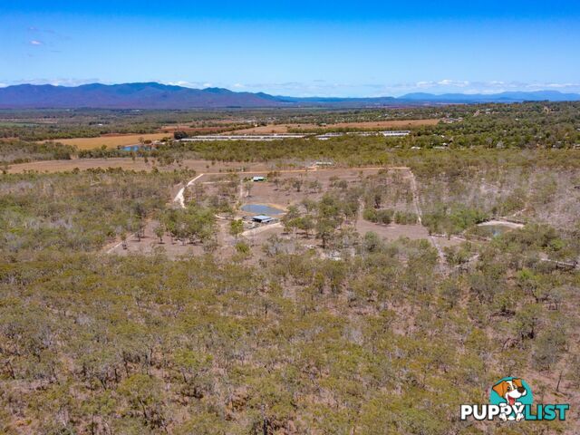 52 Anderson Rd TOLGA QLD 4882