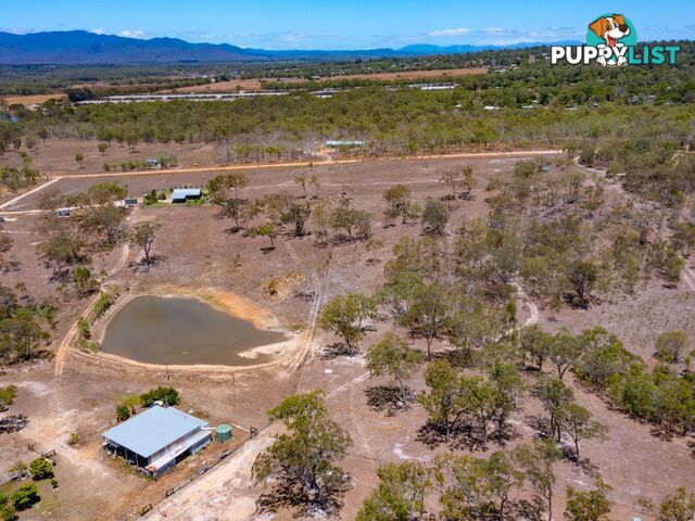 52 Anderson Rd TOLGA QLD 4882