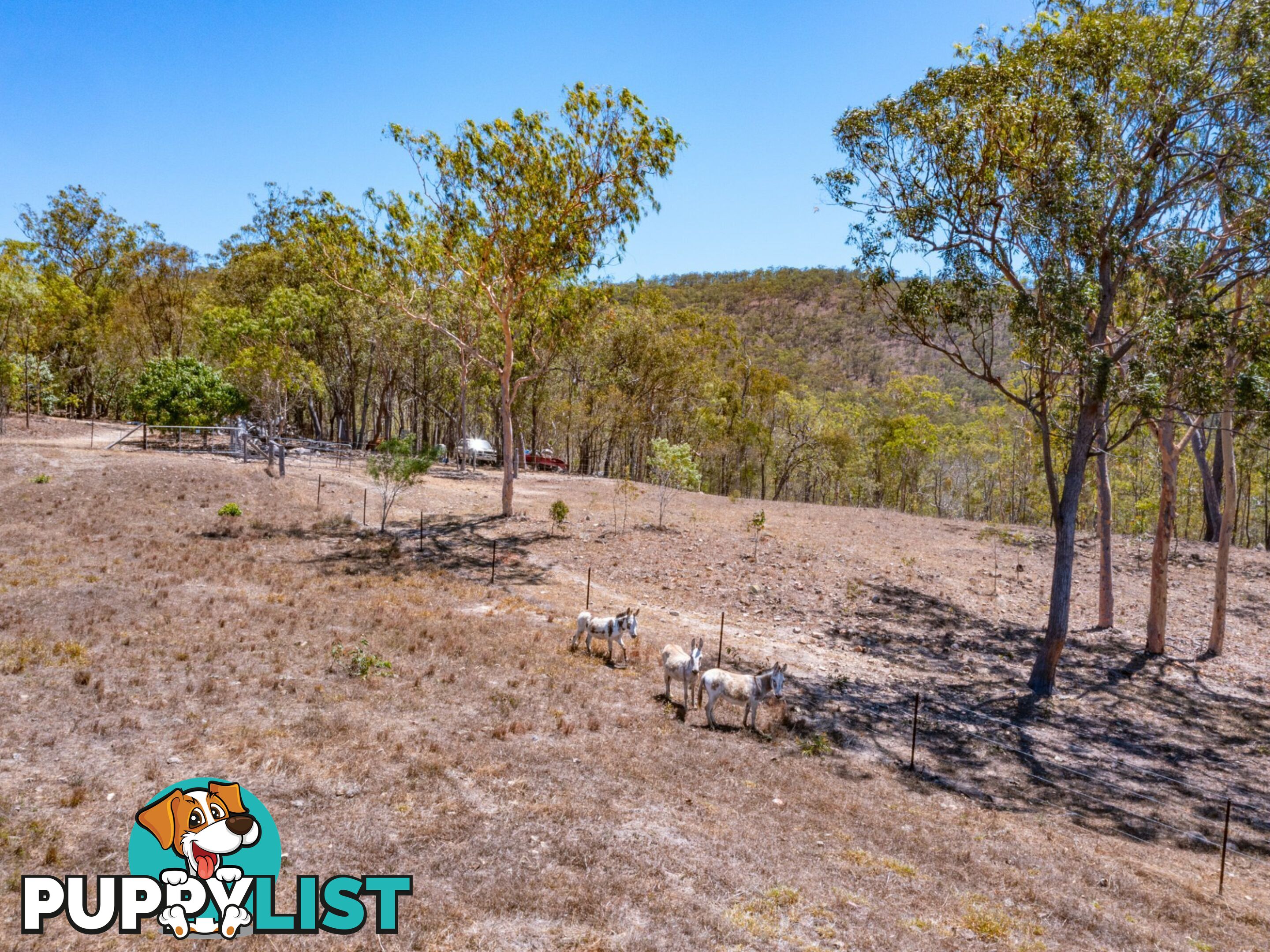 52 Anderson Rd TOLGA QLD 4882