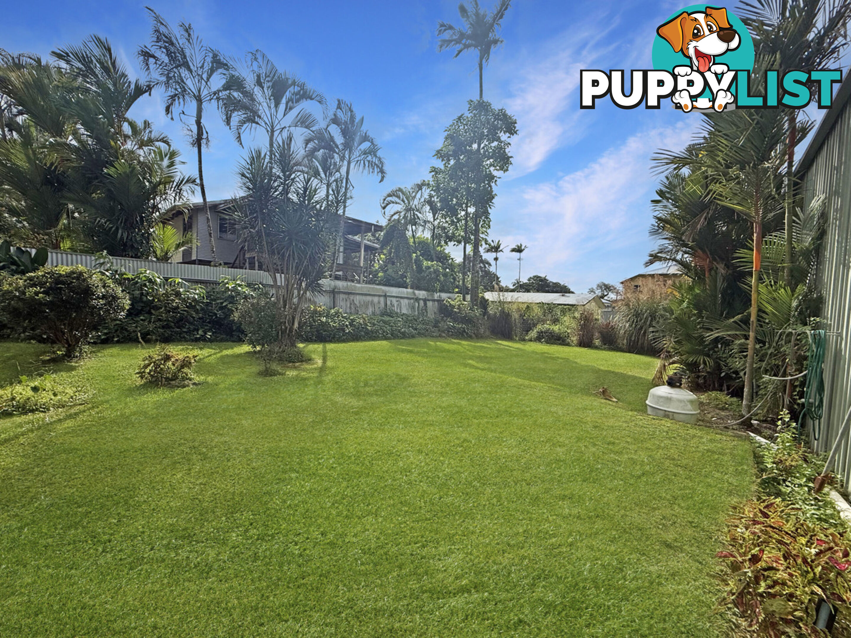 23 Ryan Street EAST INNISFAIL QLD 4860