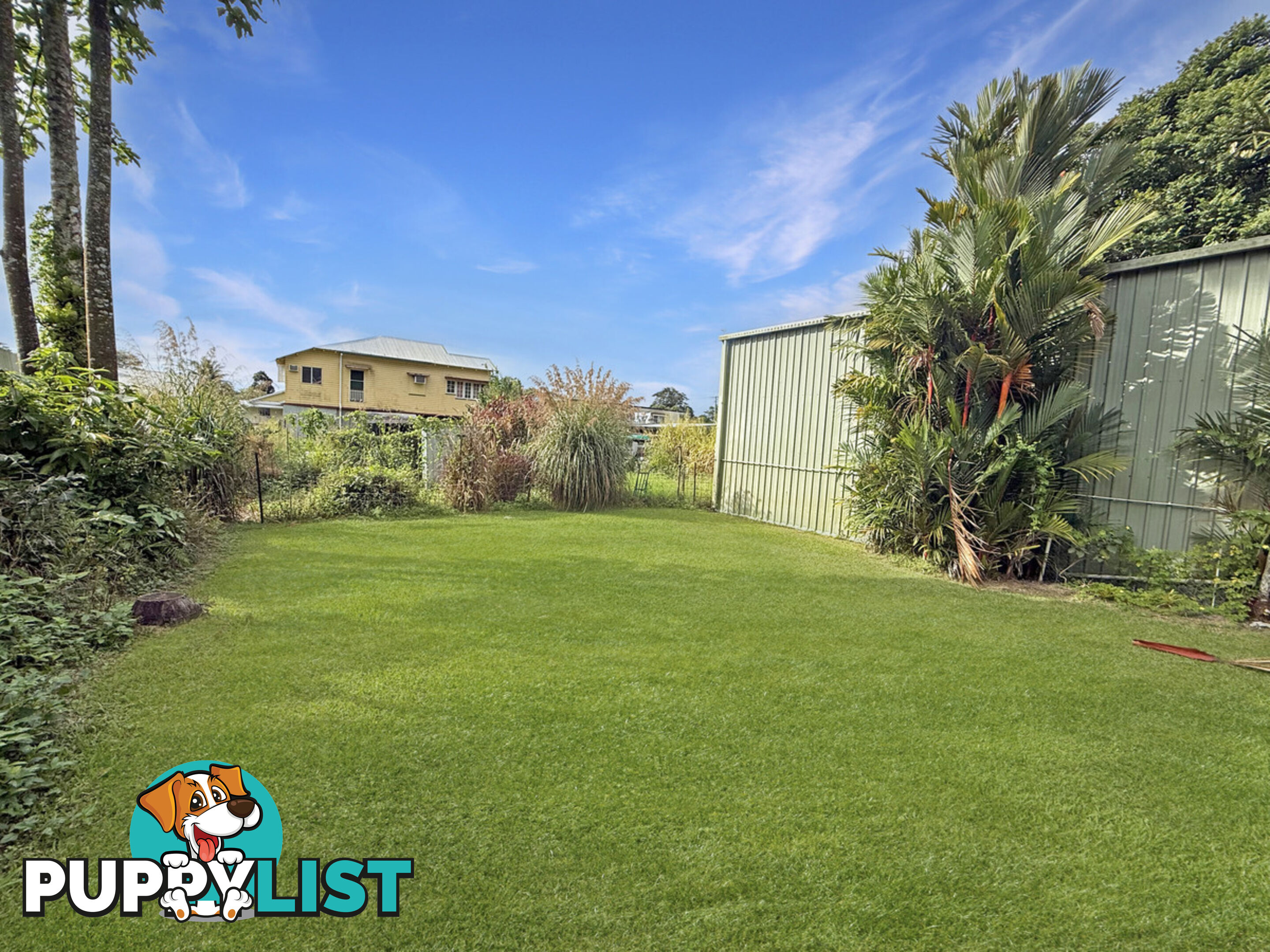 23 Ryan Street EAST INNISFAIL QLD 4860