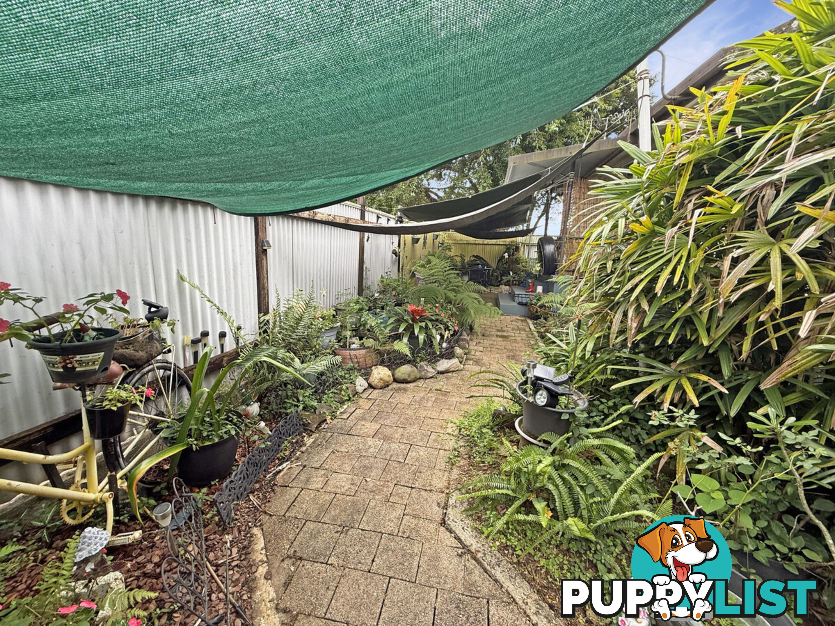 23 Ryan Street EAST INNISFAIL QLD 4860