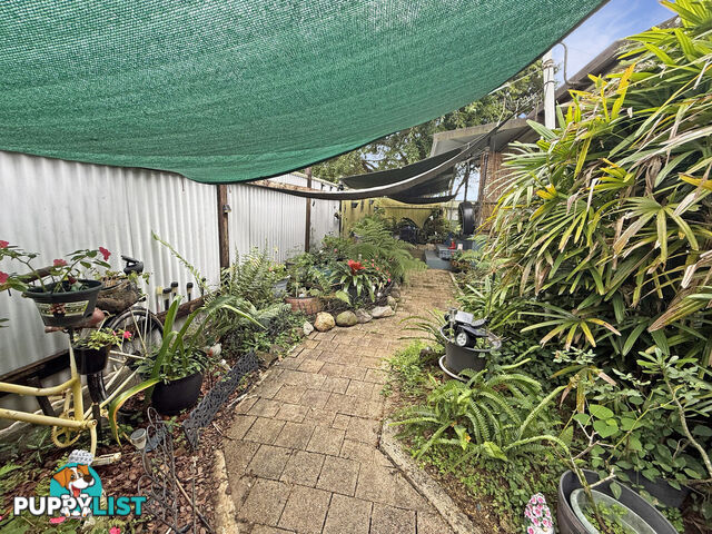 23 Ryan Street EAST INNISFAIL QLD 4860