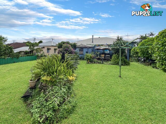 12 Wattle Street MILLAA MILLAA QLD 4886