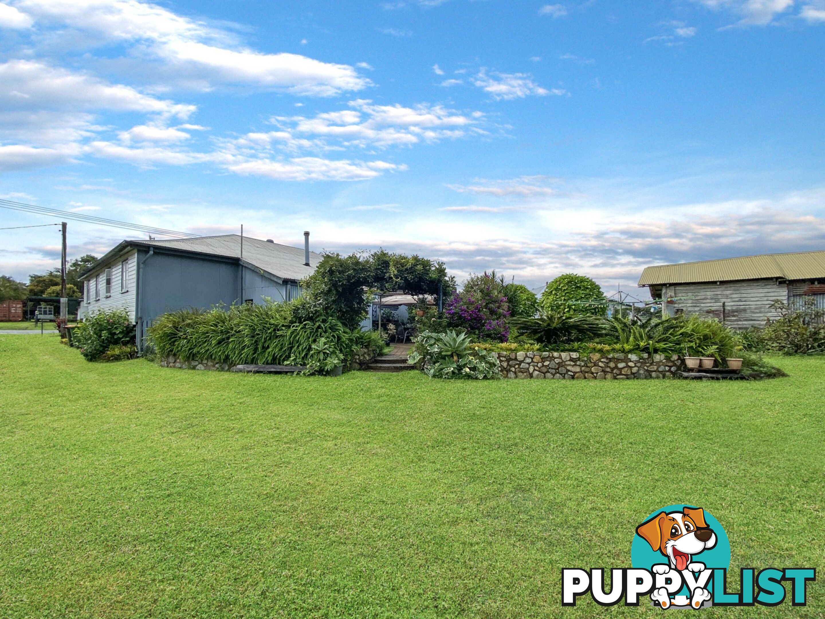 12 Wattle Street MILLAA MILLAA QLD 4886