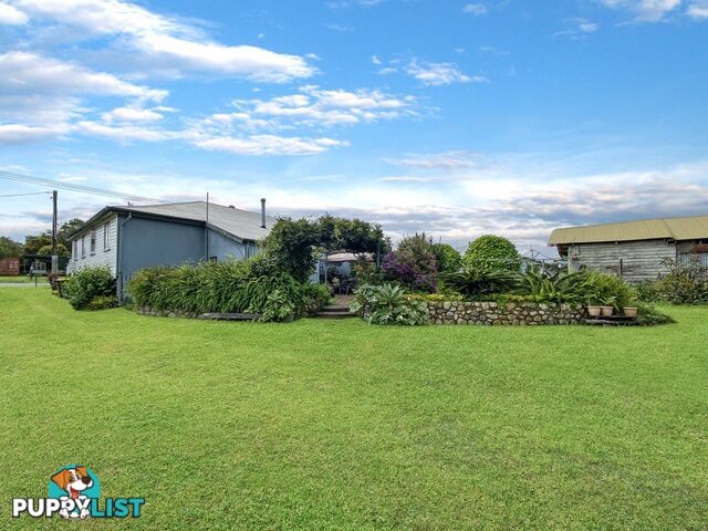 12 Wattle Street MILLAA MILLAA QLD 4886