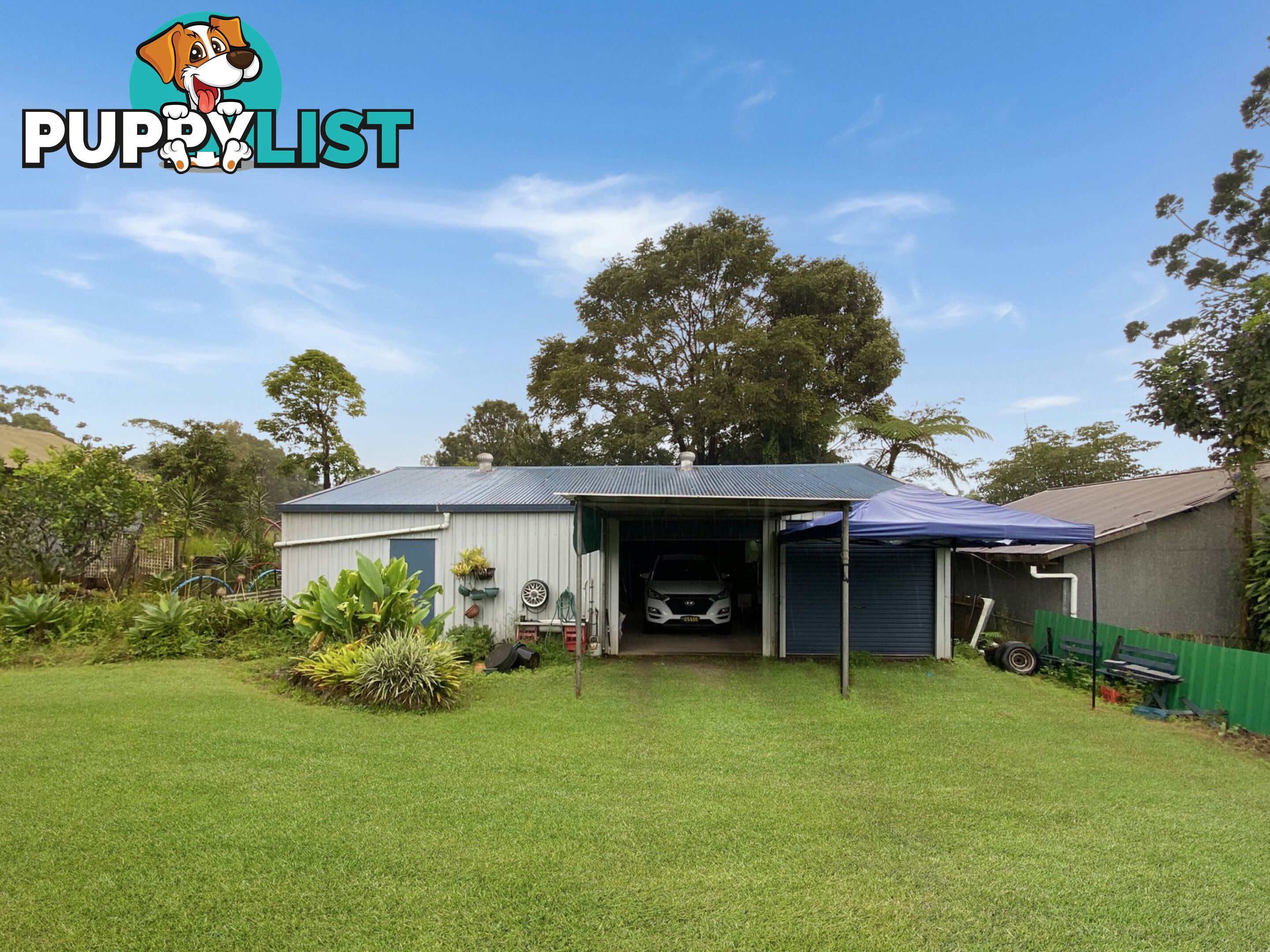 12 Wattle Street MILLAA MILLAA QLD 4886