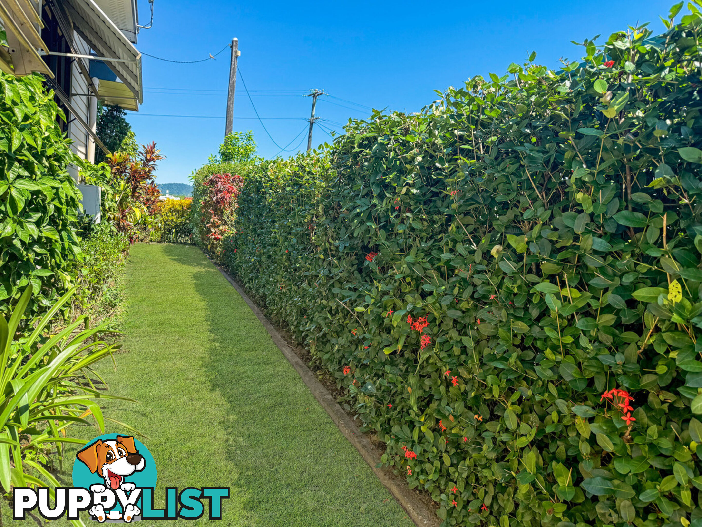 298 Silkwood Japoon Road SILKWOOD QLD 4856