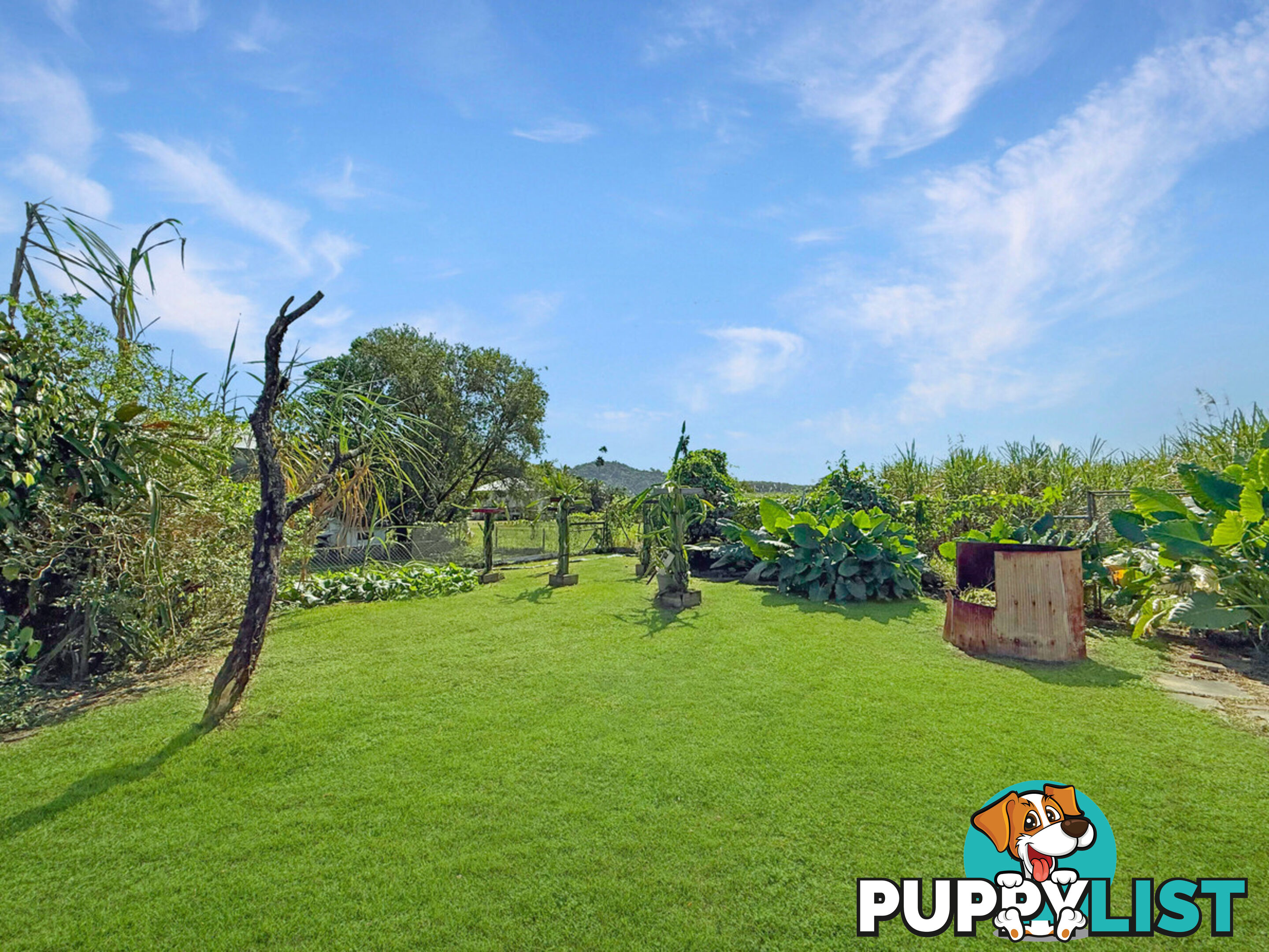 298 Silkwood Japoon Road SILKWOOD QLD 4856