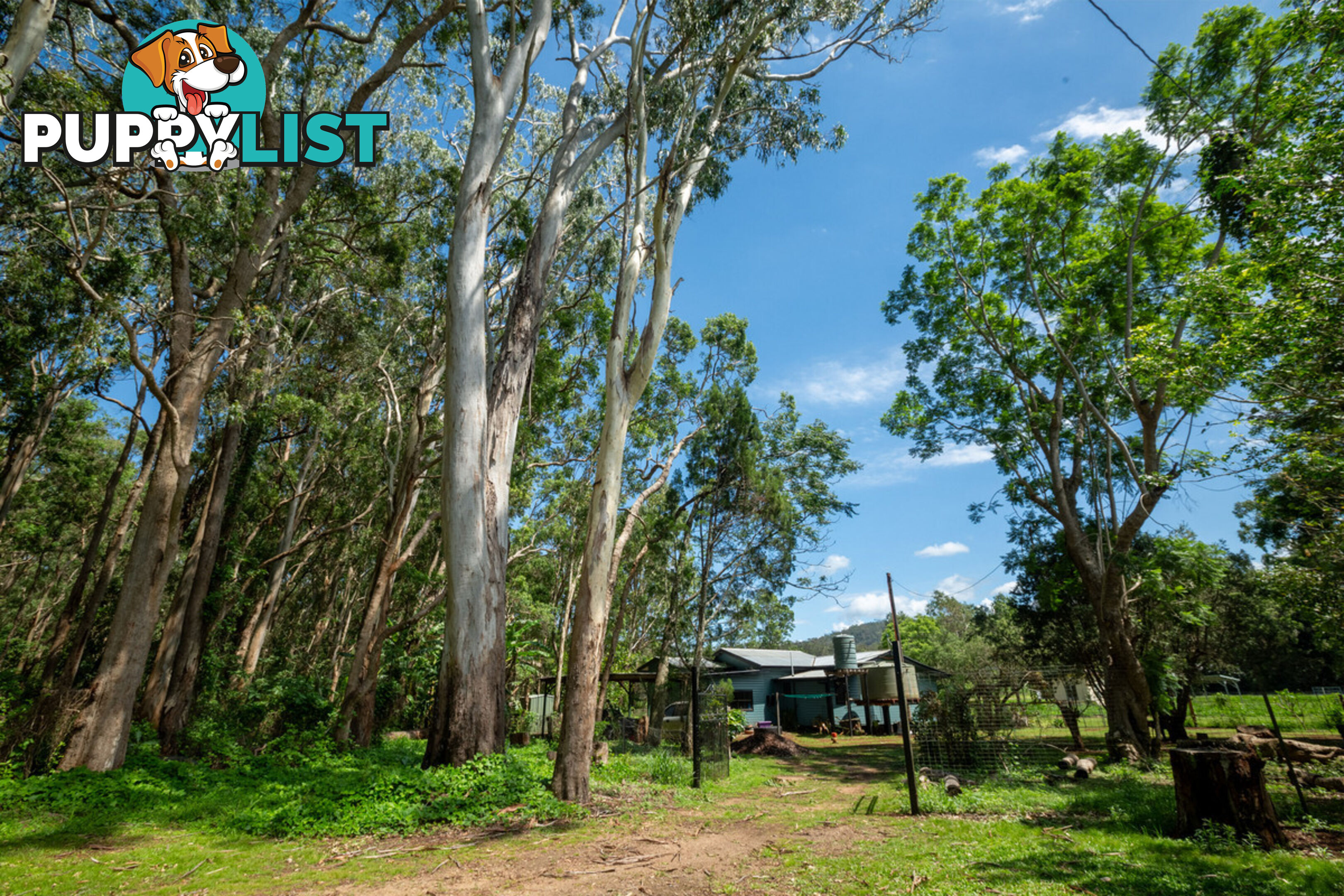 14 Condon Road TUMOULIN QLD 4888