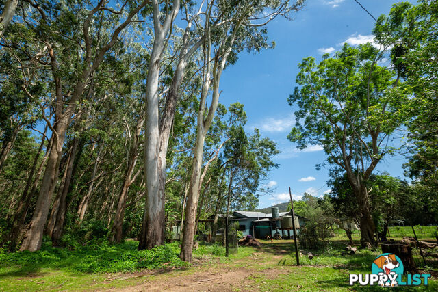 14 Condon Road TUMOULIN QLD 4888