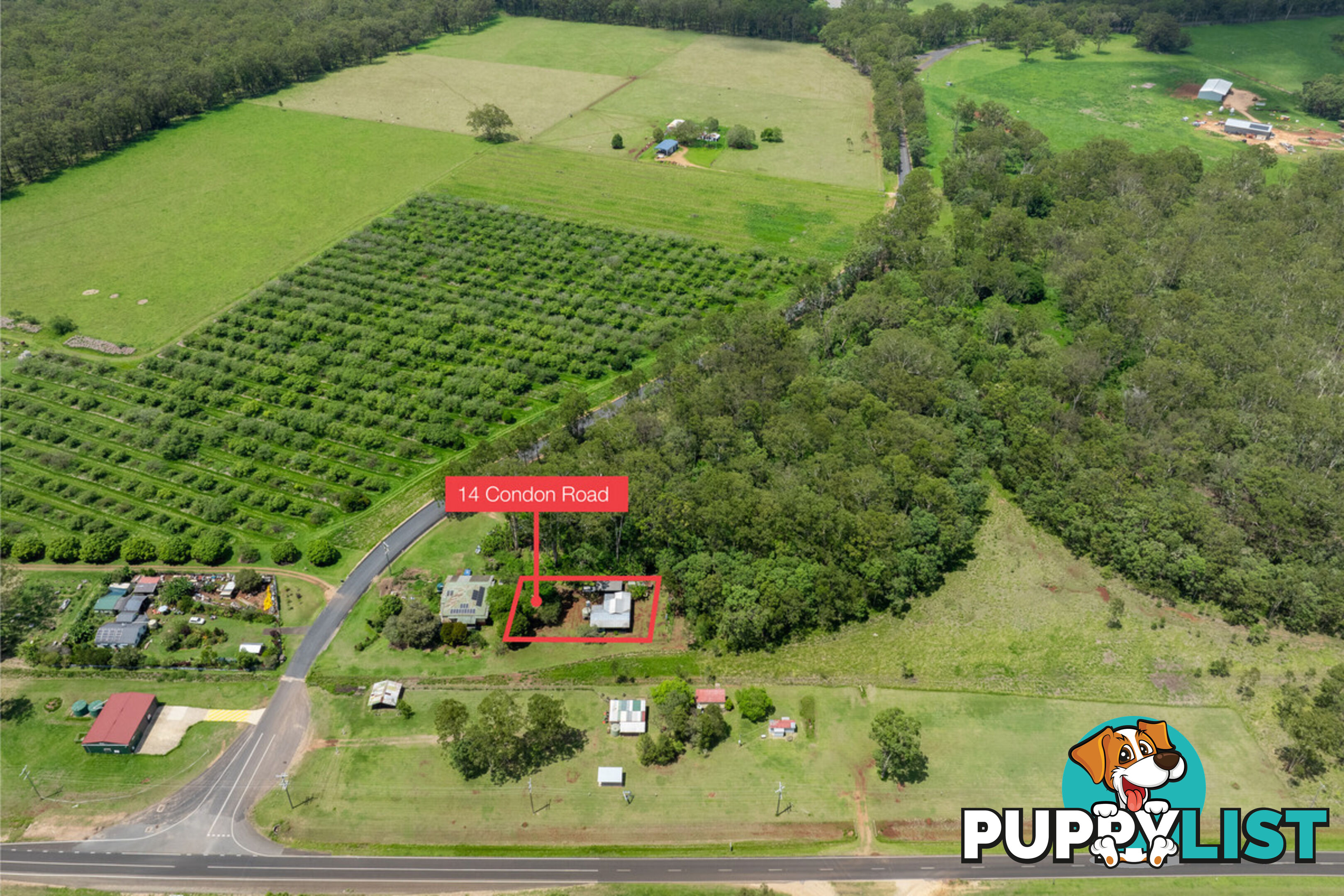 14 Condon Road TUMOULIN QLD 4888