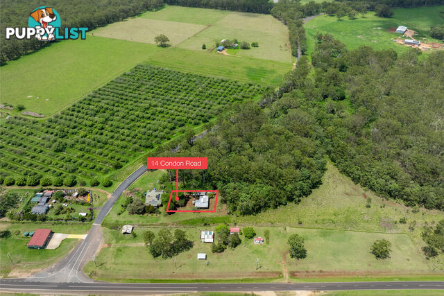 14 Condon Road TUMOULIN QLD 4888