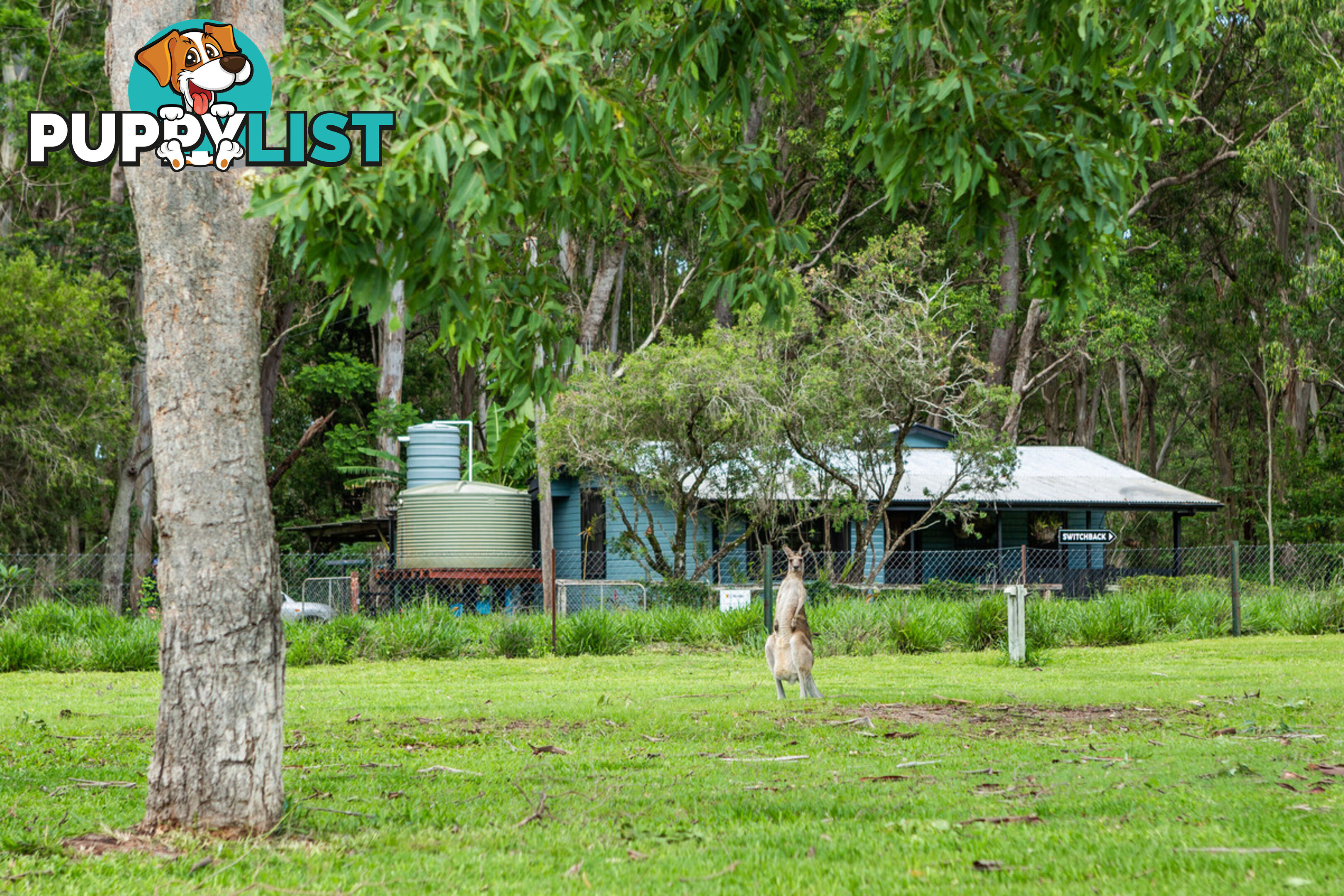 14 Condon Road TUMOULIN QLD 4888