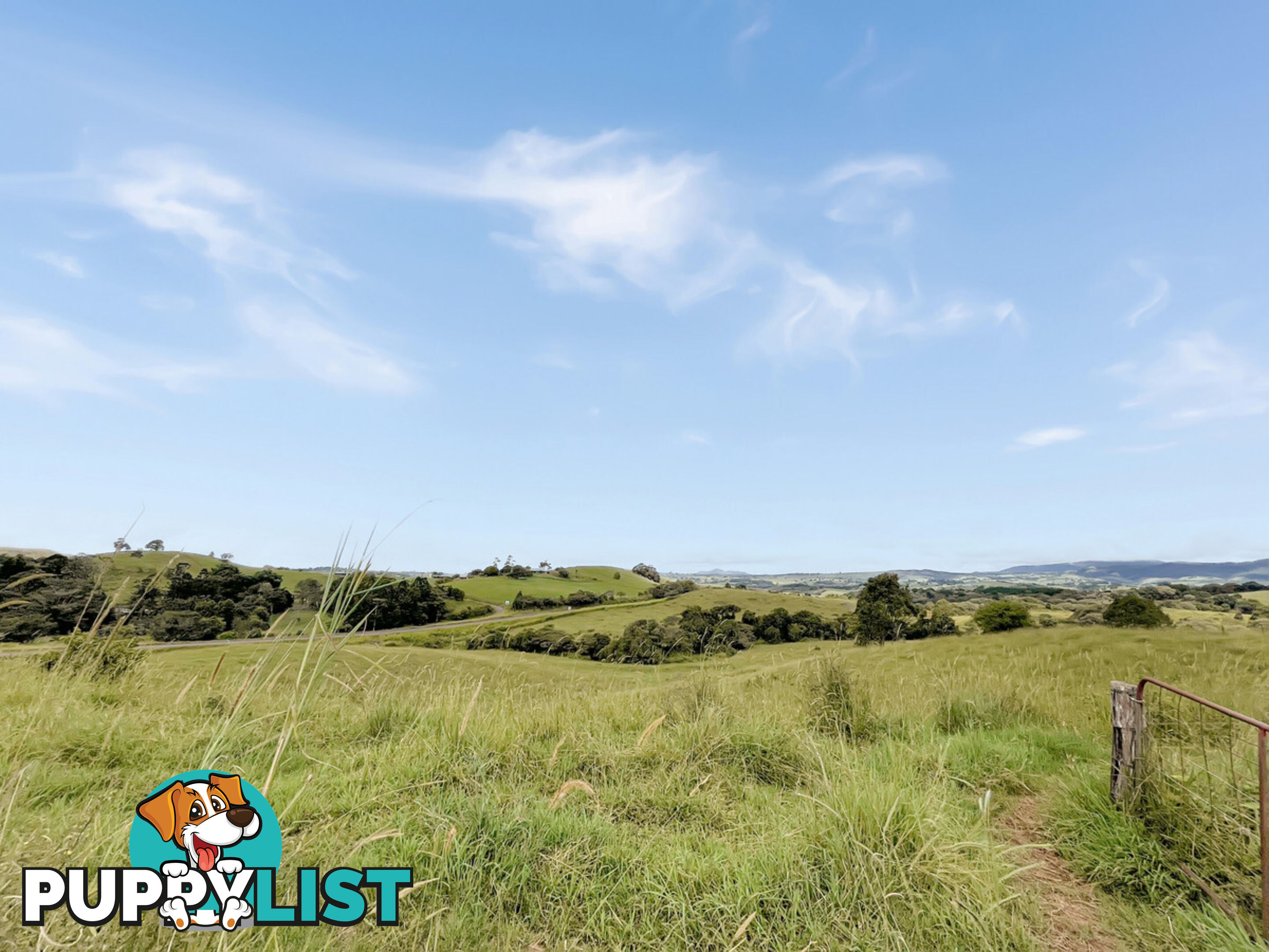 15 Turner Road TARZALI QLD 4885