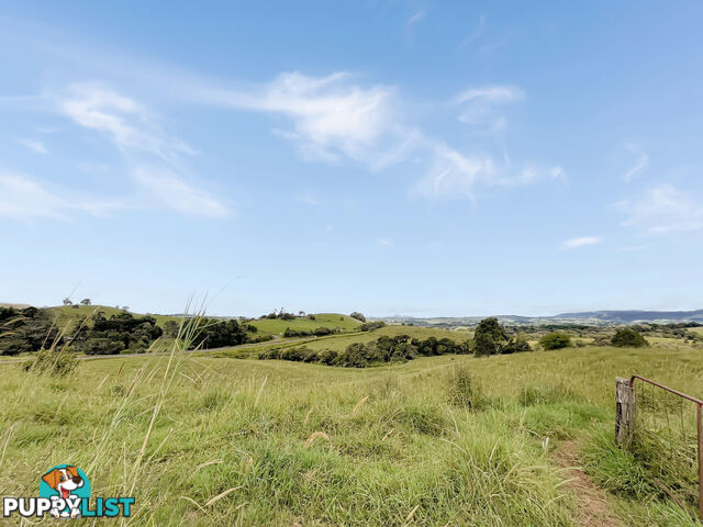 15 Turner Road TARZALI QLD 4885