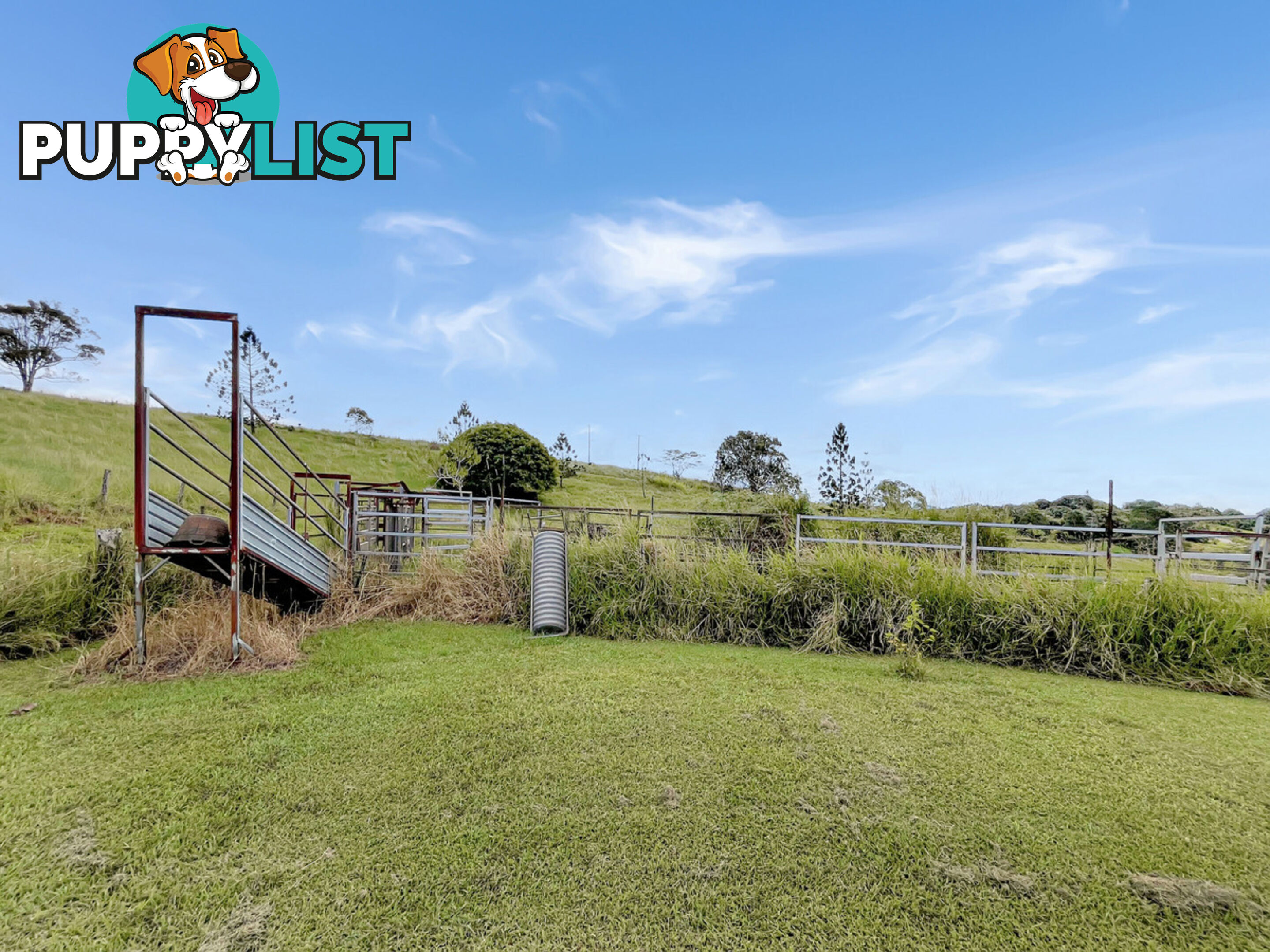 15 Turner Road TARZALI QLD 4885
