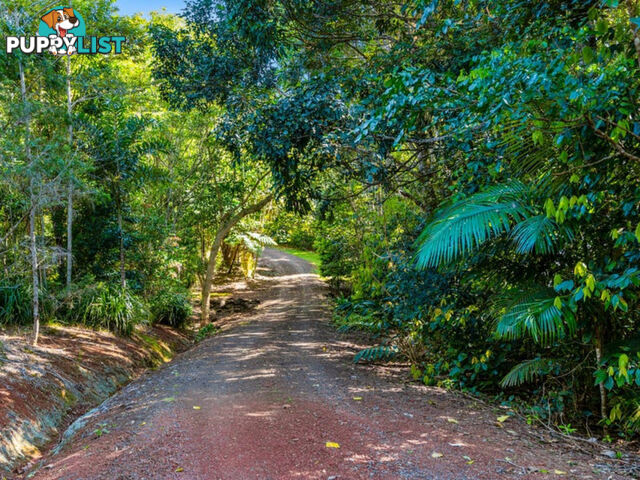 3066 Gillies Range Road LAKE BARRINE QLD 4884