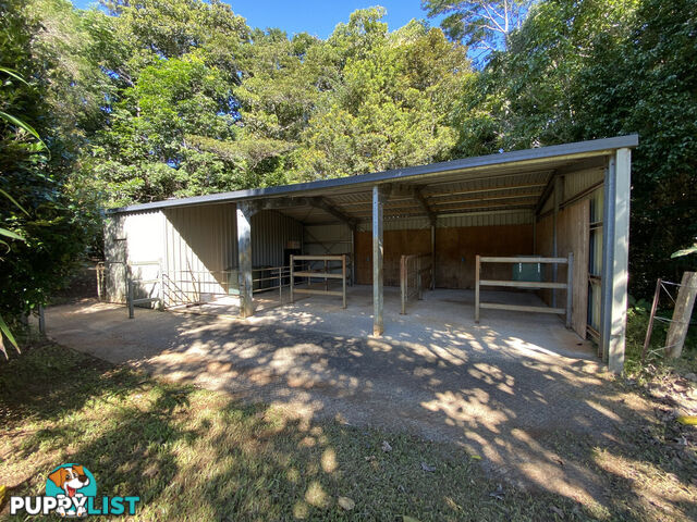 3066 Gillies Range Road LAKE BARRINE QLD 4884