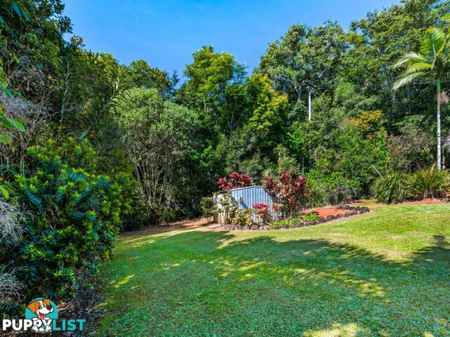 3066 Gillies Range Road LAKE BARRINE QLD 4884