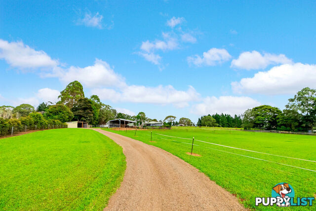 22 Mathers Road MALANDA QLD 4885