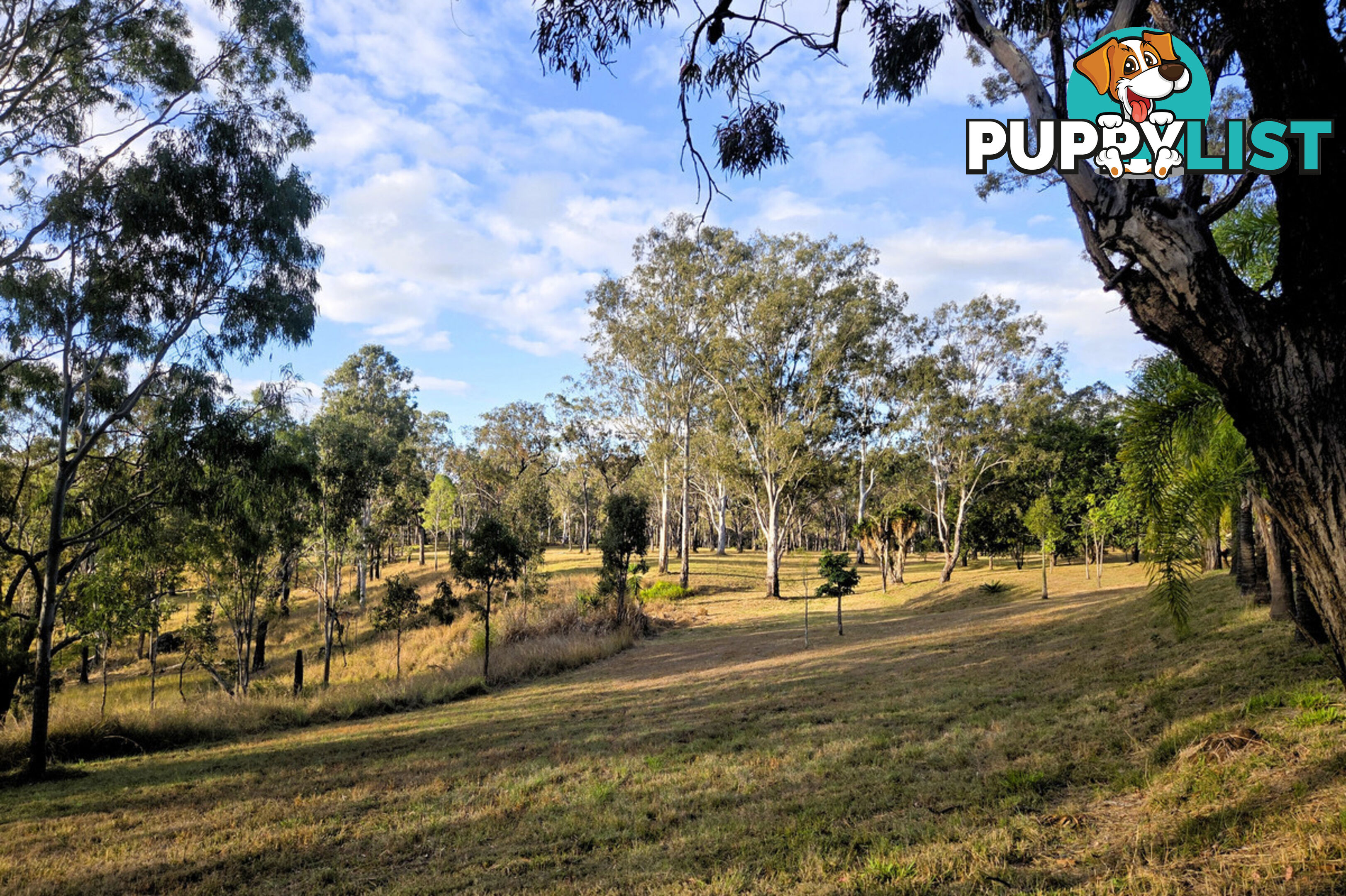 KALUNGA QLD 4887