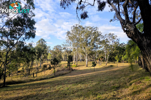 KALUNGA QLD 4887