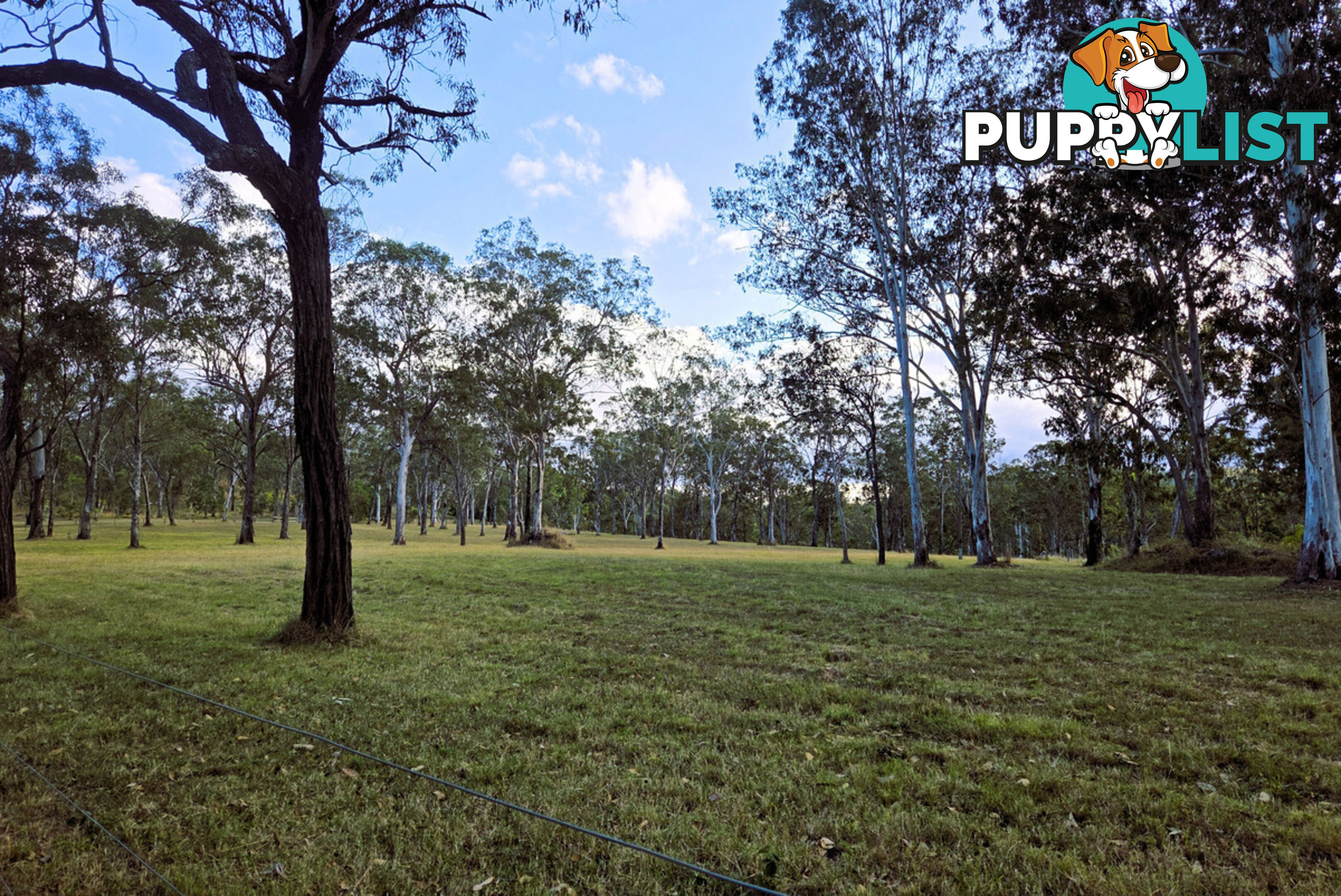 KALUNGA QLD 4887