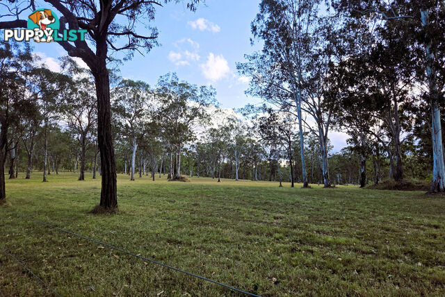 KALUNGA QLD 4887