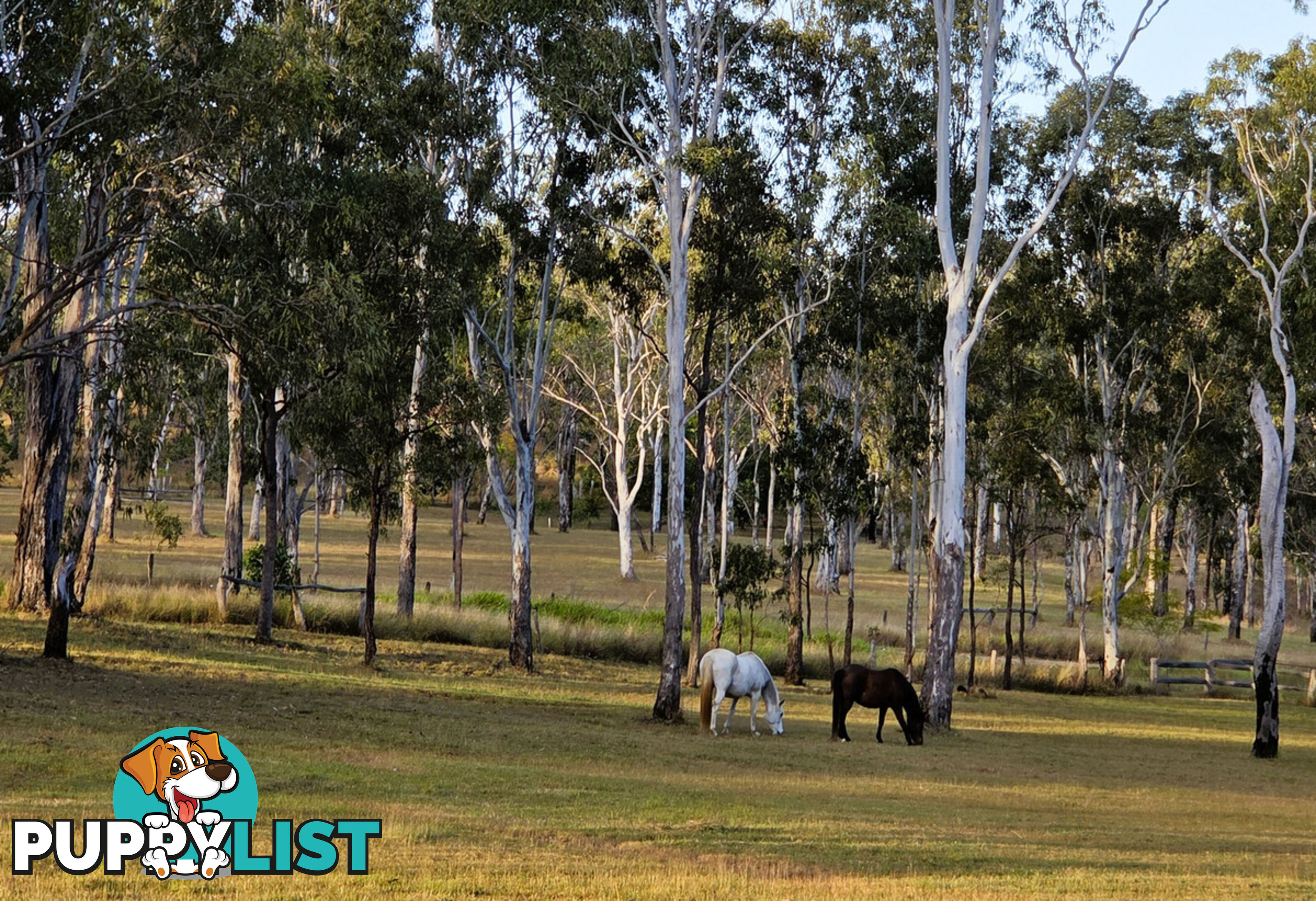 KALUNGA QLD 4887