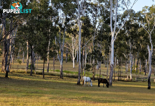 KALUNGA QLD 4887