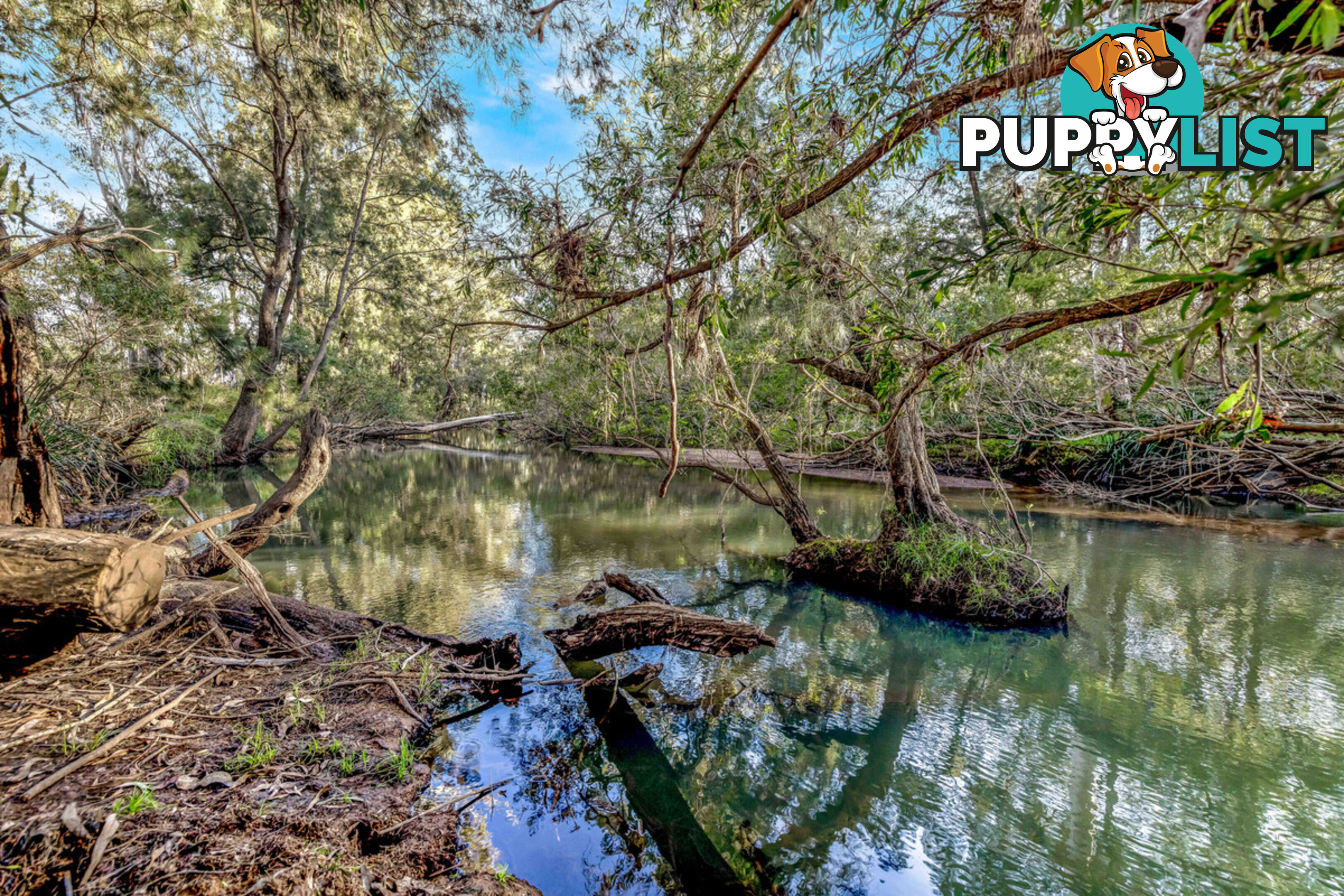 KALUNGA QLD 4887