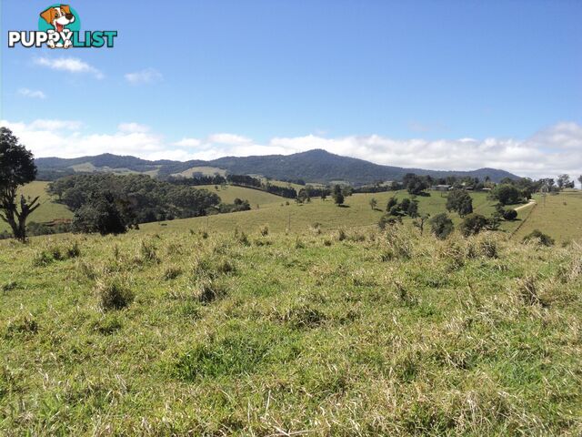 RAVENSHOE QLD 4888