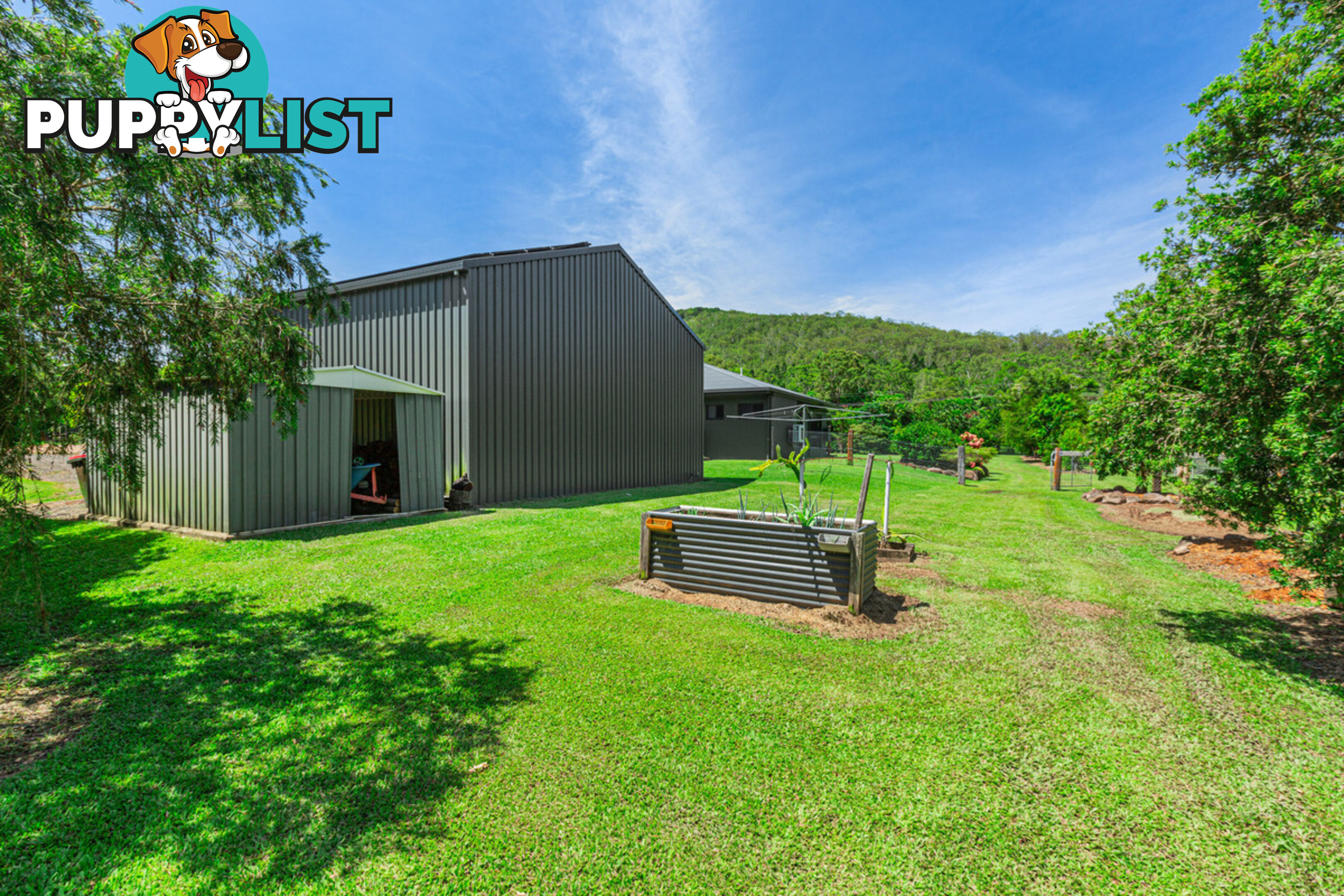 7 Forrest Street CARRINGTON QLD 4883