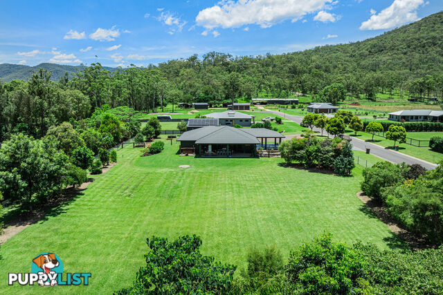 7 Forrest Street CARRINGTON QLD 4883